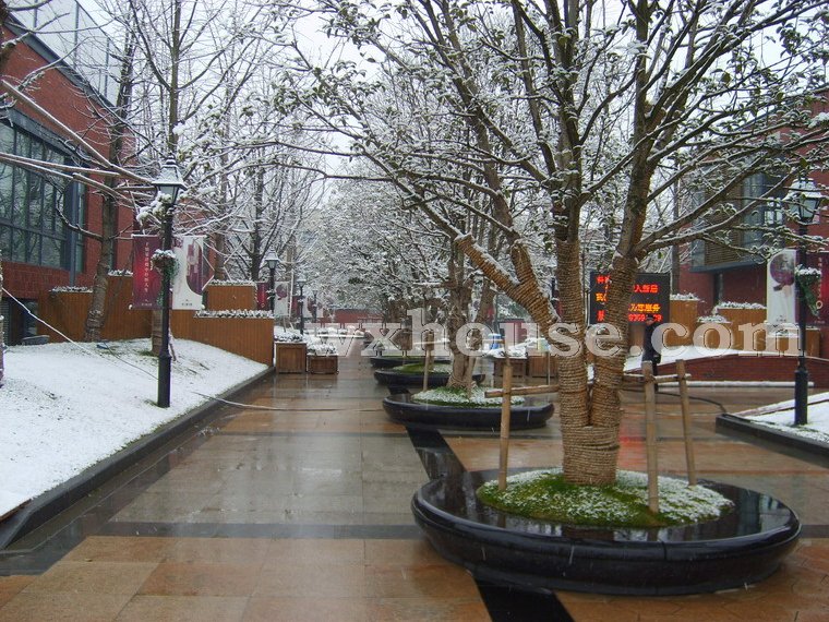 波士頓公館實景圖2008年1月26日      