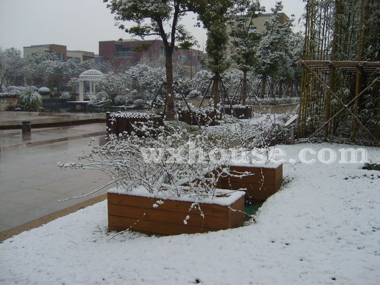 波士頓公館實景圖2008年1月26日      