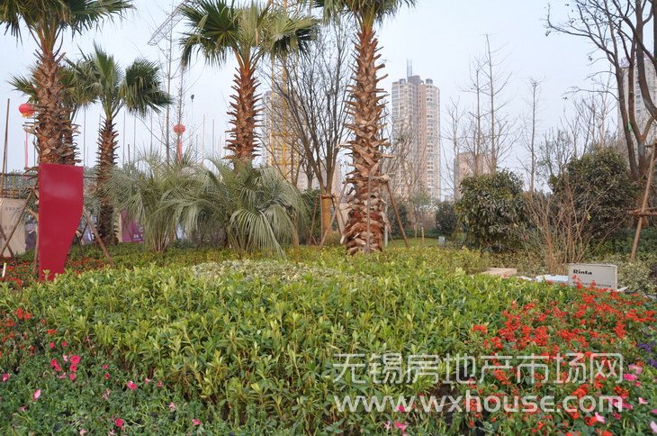 景觀      