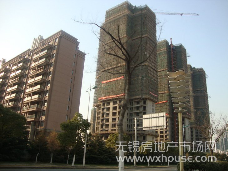 現場施工進度      