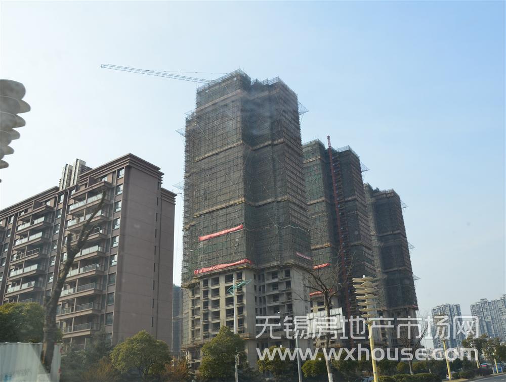 現場施工進度      