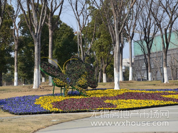 周邊新城中央公園      