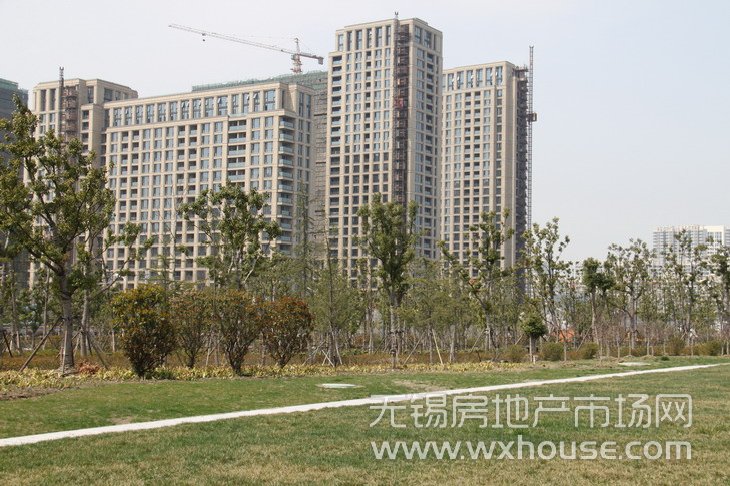 住宅與景觀      