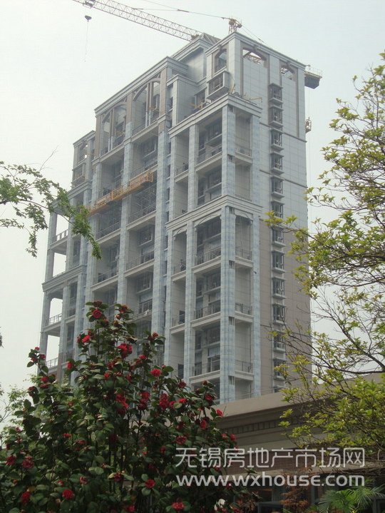 現場施工進度      