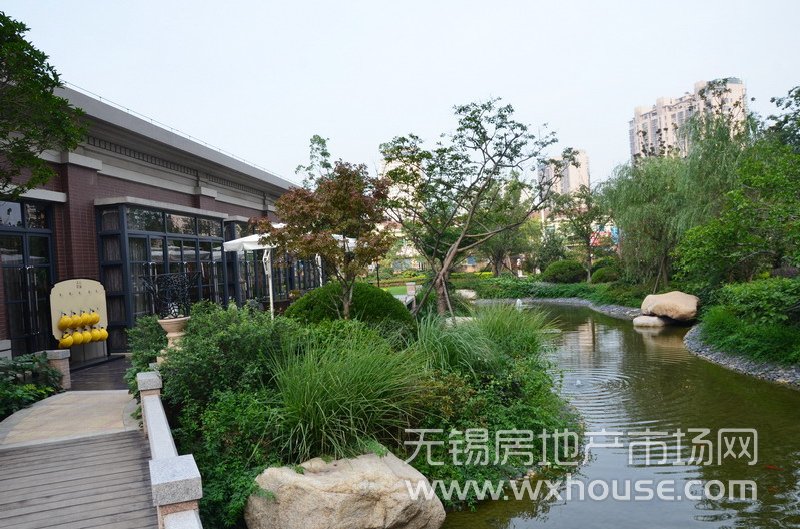 景觀      