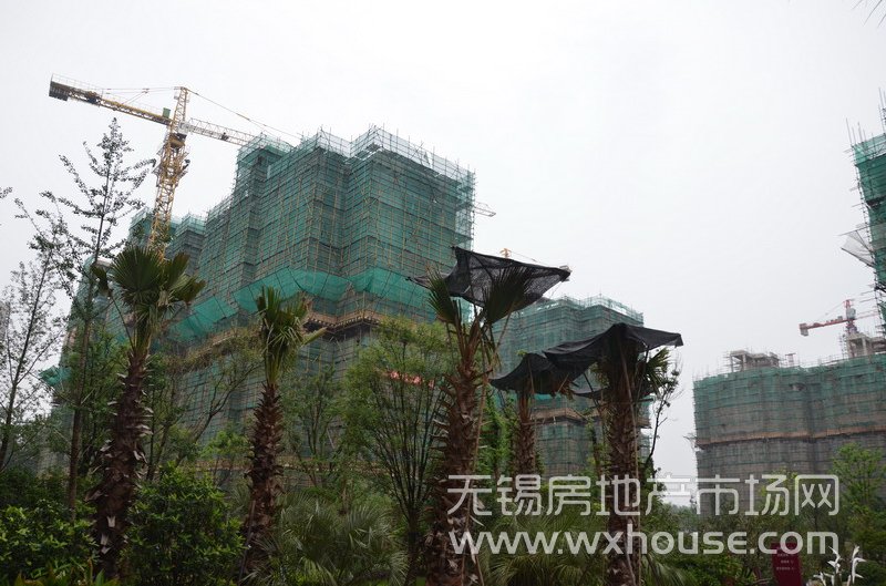 現場施工進度      