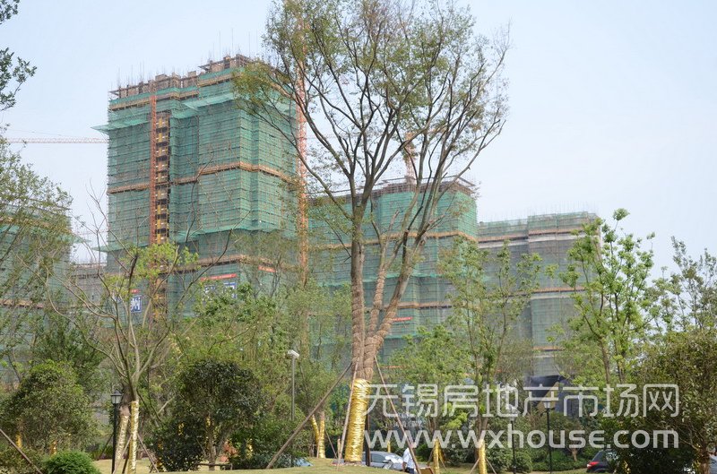 現場施工進度      