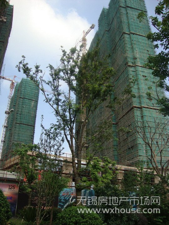 現場施工進度      