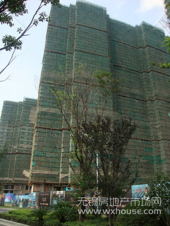 現場施工進度      