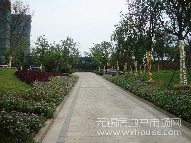 景觀      