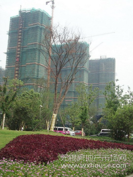 現場施工進度      