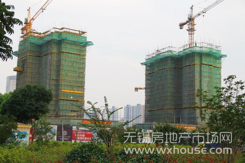 現場施工進度      