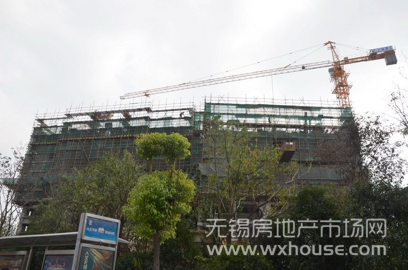 現場施工進度      
