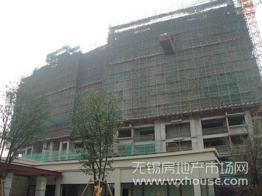 現場施工進度      