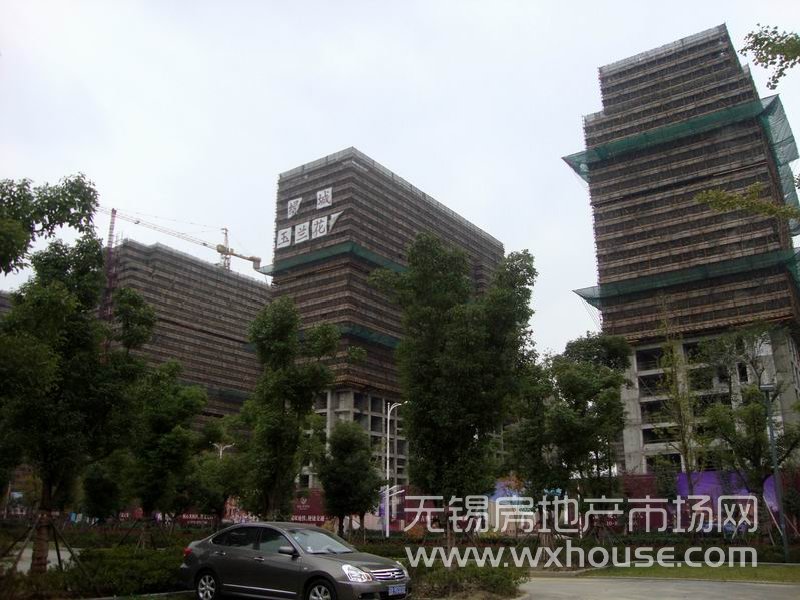現場施工進度      