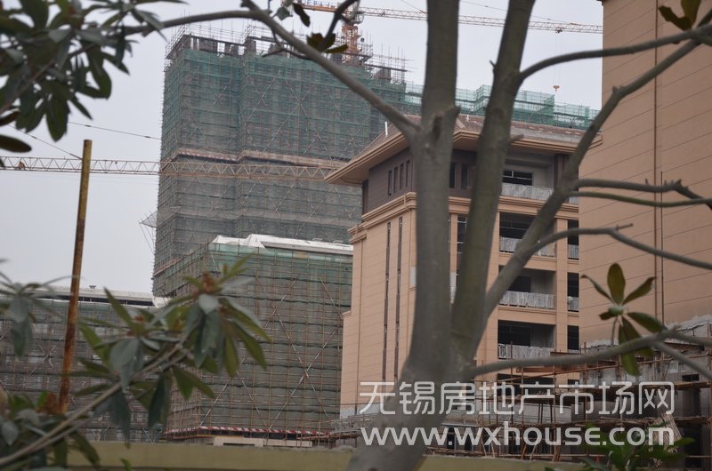現場施工進度      