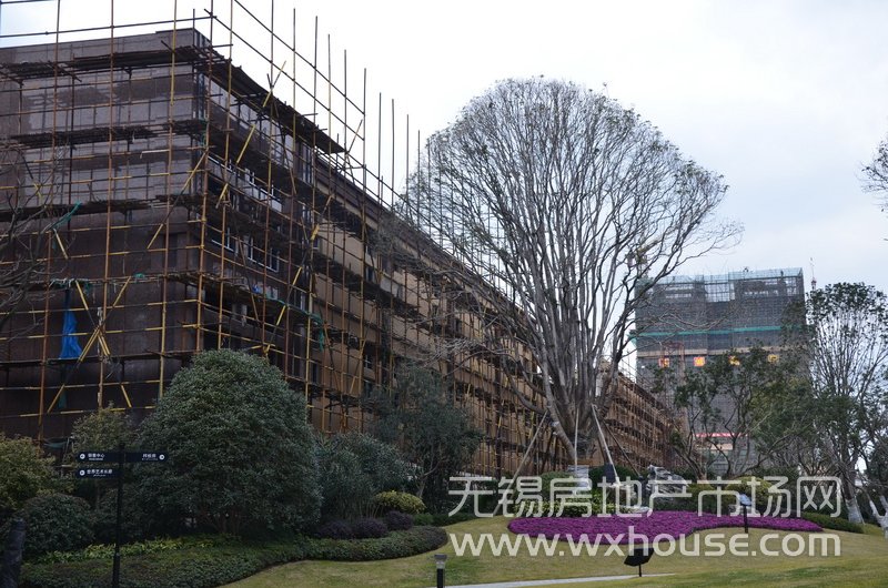 現場施工進度      