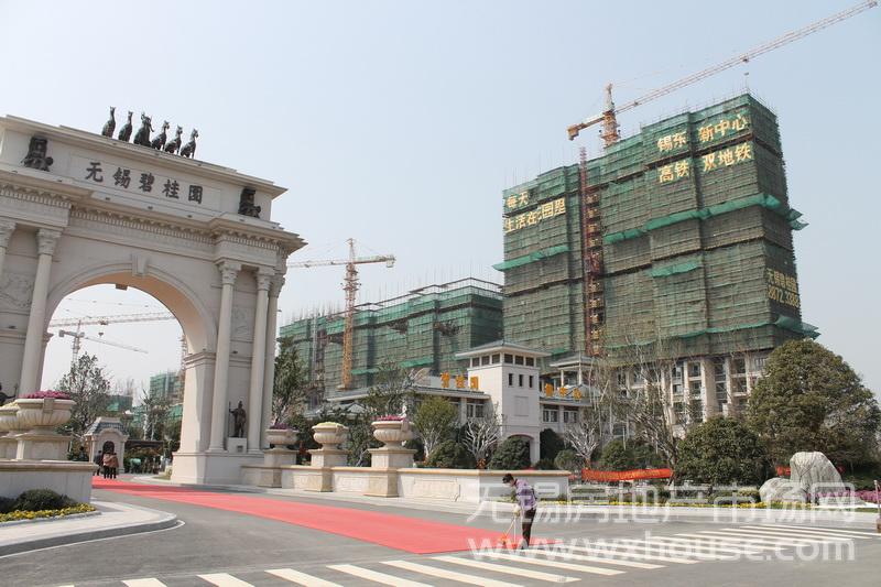 現場施工進度      