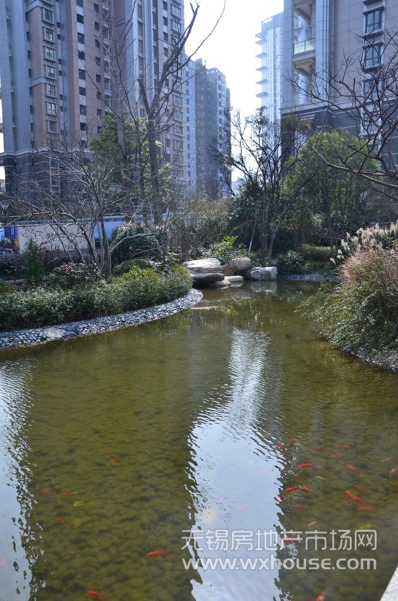 社區景觀      