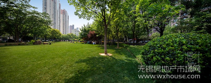 景觀      