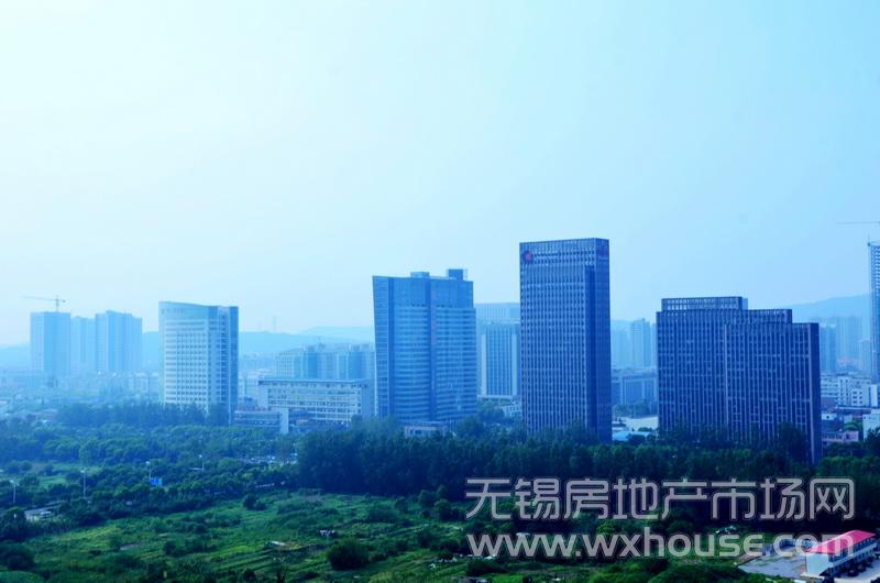 香樟園周邊寫字樓      