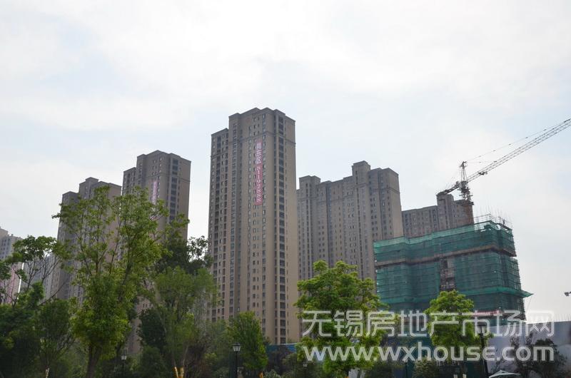 現場施工進度      