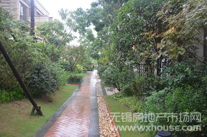 戶型260平米別墅樣板房：小區道路      