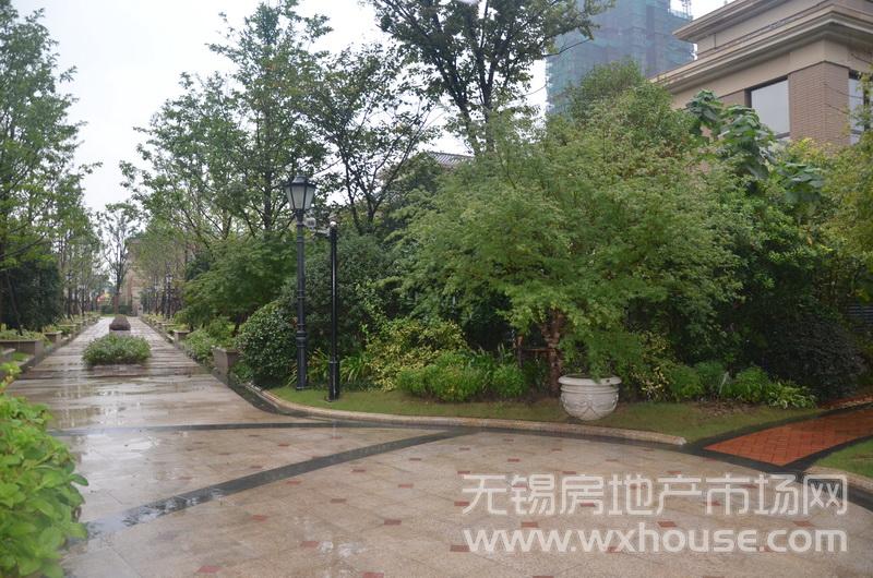 戶型260平米別墅樣板房：小區道路      