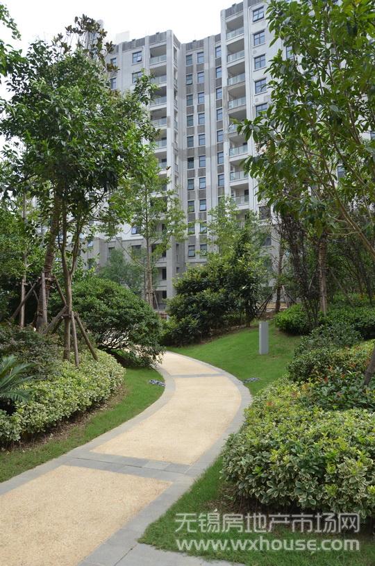 景觀      