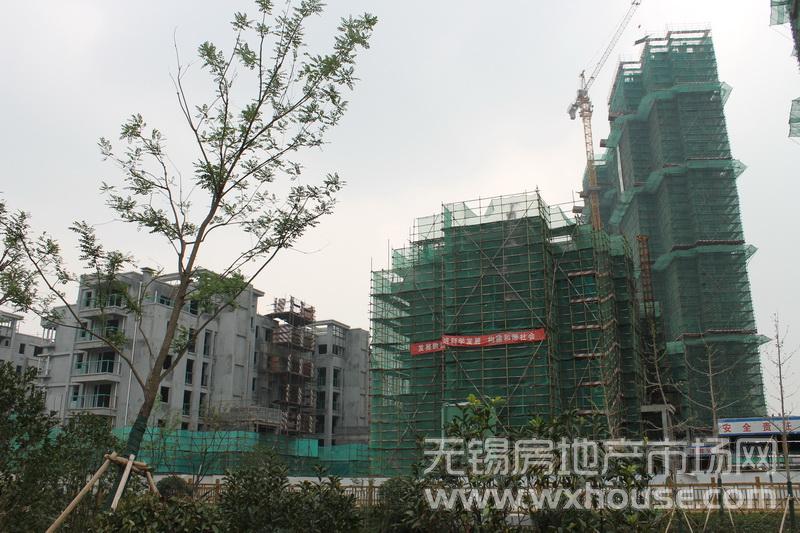 現場施工進度      