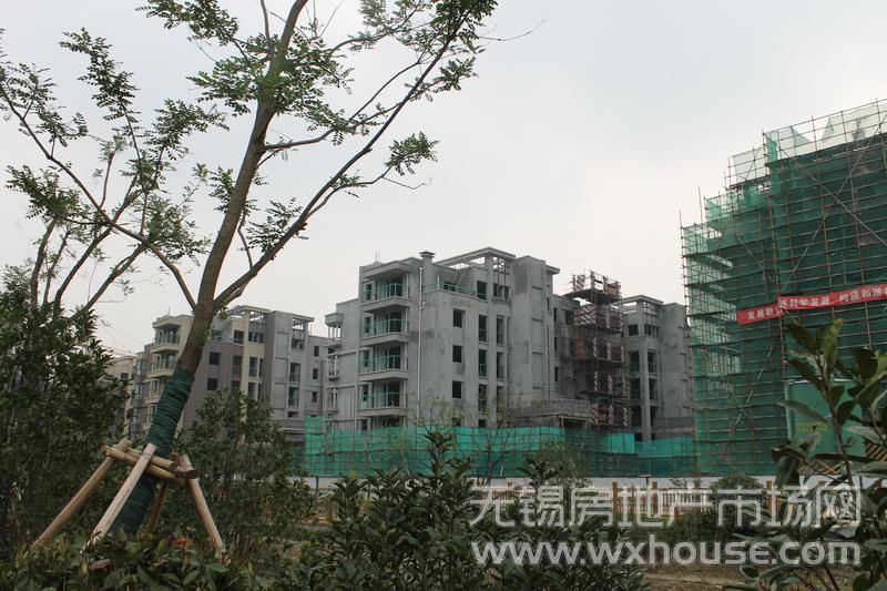 現場施工進度      