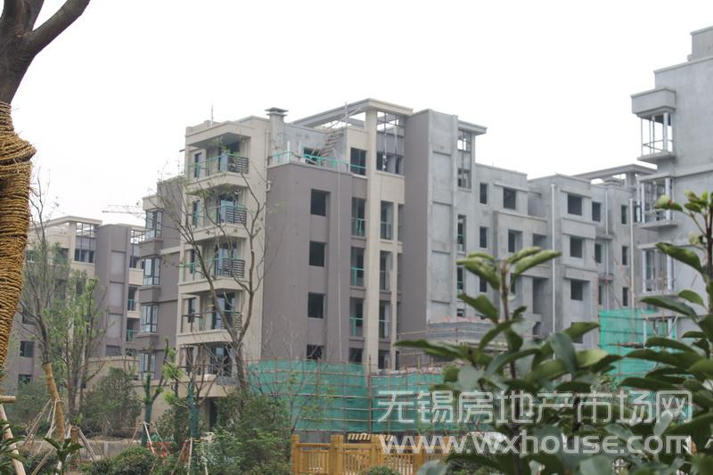 現場施工進度      