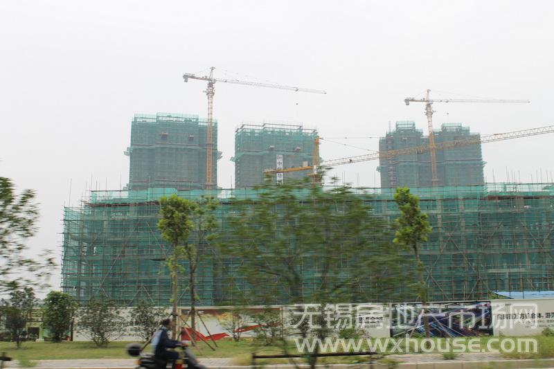 現場施工進度      