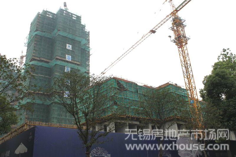 現場施工進度      
