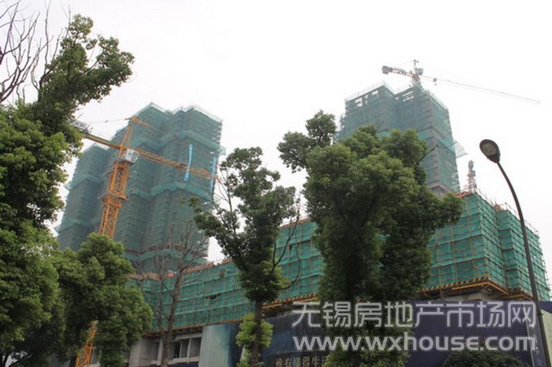 現場施工進度      