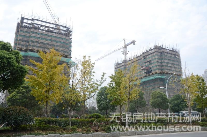 現場施工進度      