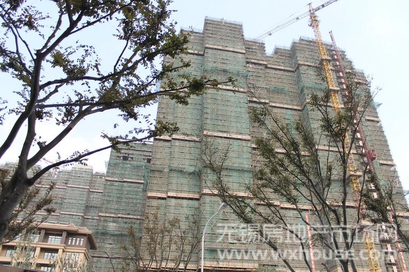 現場施工進度      