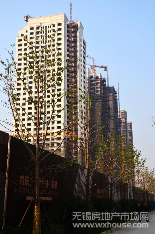 現場施工進度      