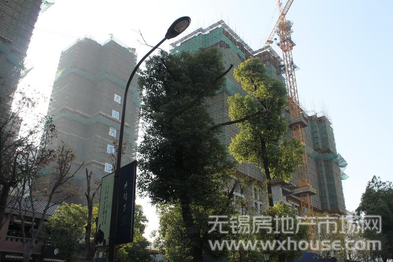 現場施工進度      