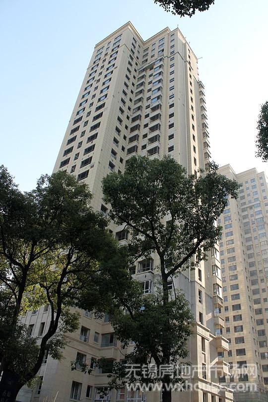現場施工進度      