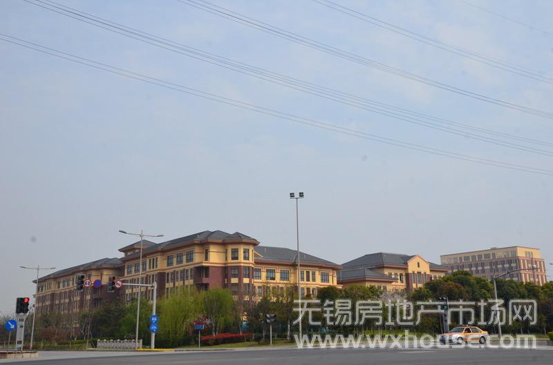 周邊配套：金橋雙語實驗學校      