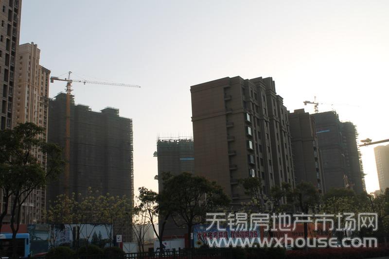 施工進度      