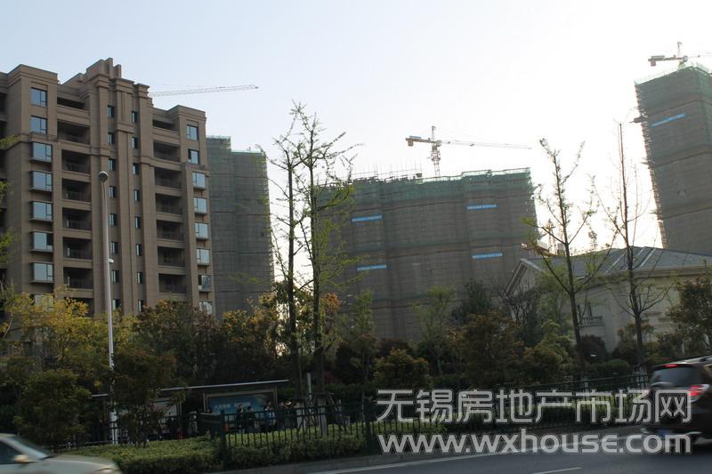 施工進度      