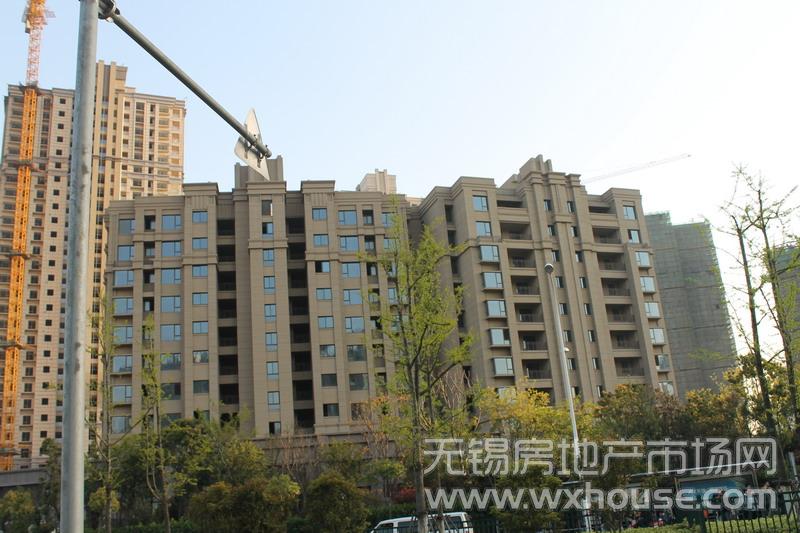 施工進度      