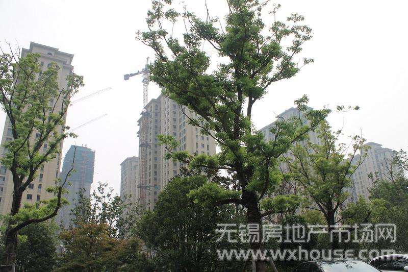 現場實景      