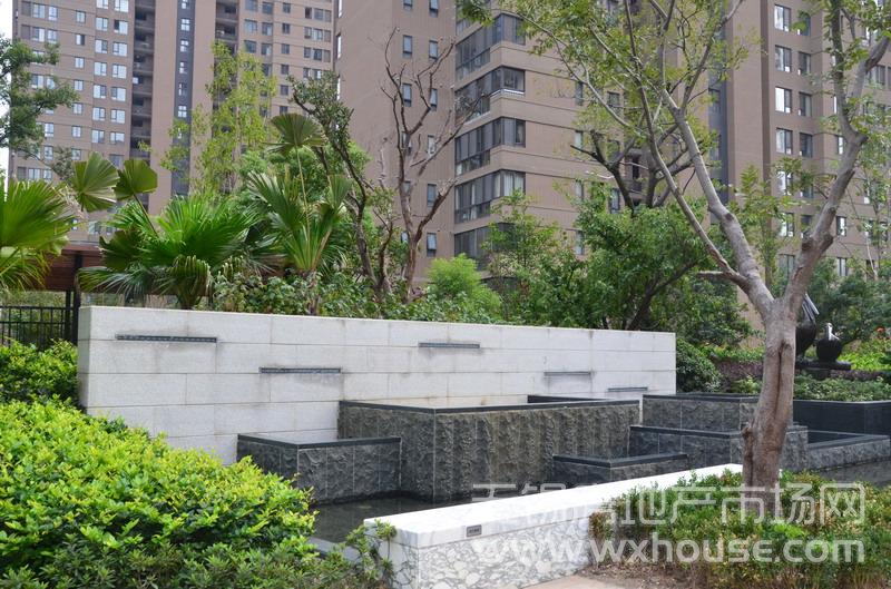 小區內實景      