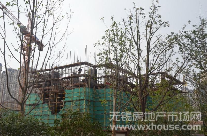 現場施工進度      