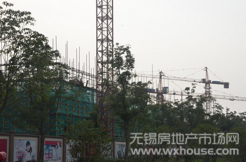 現場施工進度      