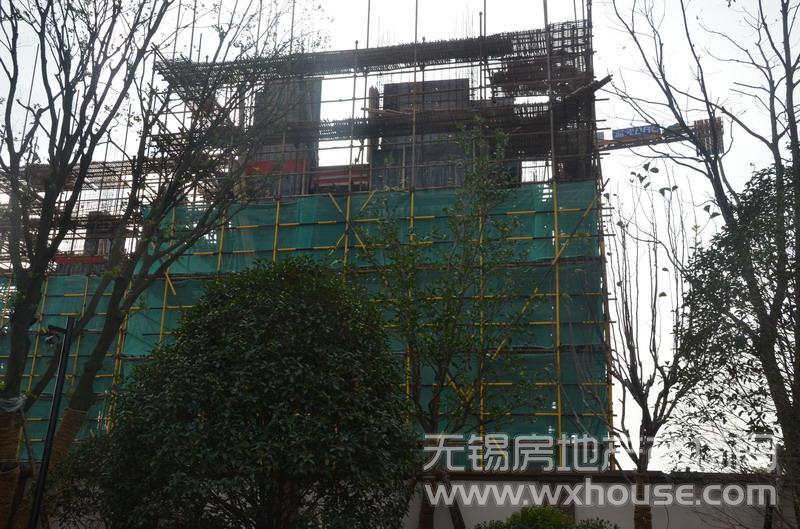 現場施工進度      