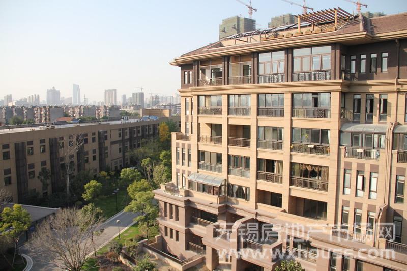 現場實景圖      